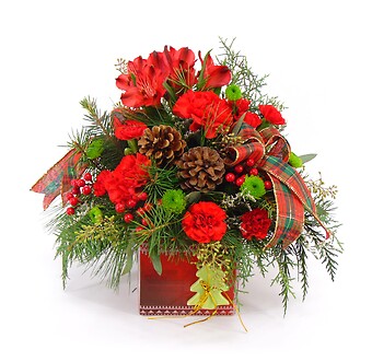 Red Winter Treasures