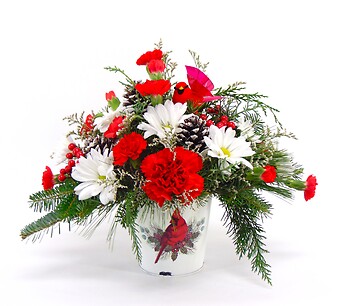 Wishing You &amp;quot;A Merry Little Christmas&amp;quot;