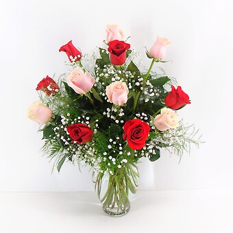 1 Dozen Pink &amp; Red Roses Arranged-Long Stemmed