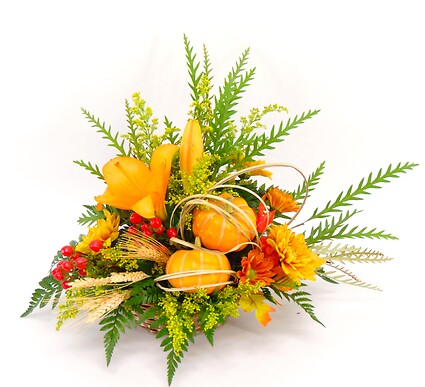 Contempo Cornucopia