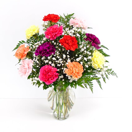 Carnation Confetti
