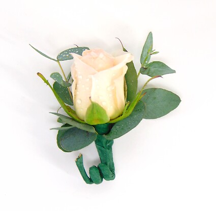 Blush Rose Boutonniere