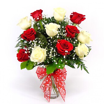 1 Dozen Red &amp; White Roses Arranged-Long Stemmed