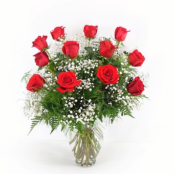 1 Dozen Red Roses Arranged-Long Stemmed