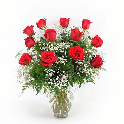 1 Dozen Red Roses Arranged-Long Stemmed