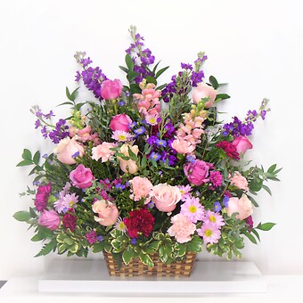 Shades of Elegance