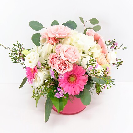 Tickled Pink!